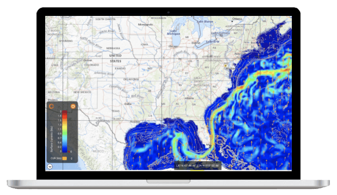 (i): Surface Currents