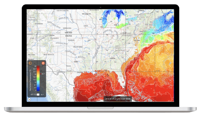 (i): Sea Surface Temperature