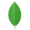 MongoDb integration