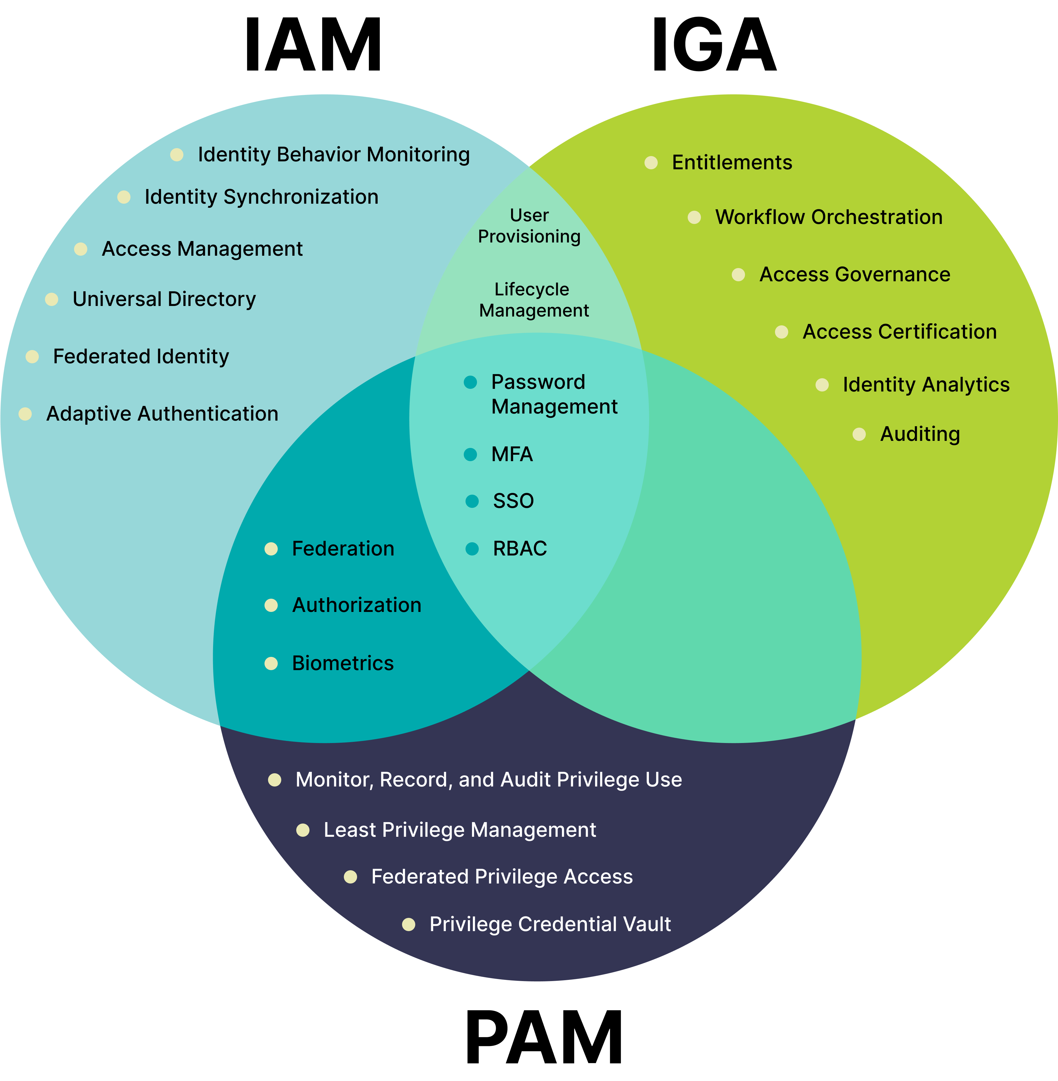 Comparison chart of IAM, IGA, and PAM features for access control, governance, and privileged access